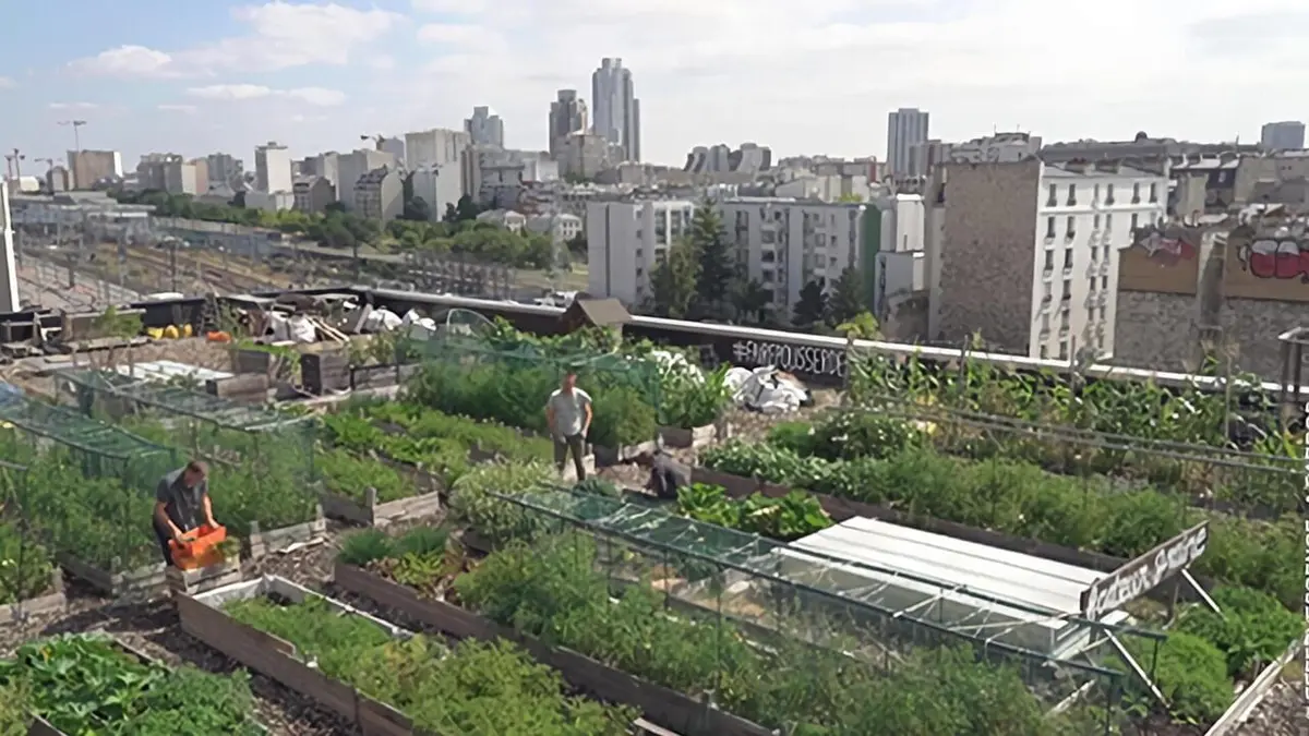 Des légumes dans la ville