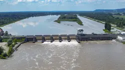 Des mains vertes pour la nature