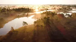 Des mains vertes pour la nature