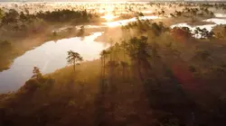 Des mains vertes pour la nature