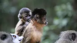 Des mamans modèles Apprendre les règles