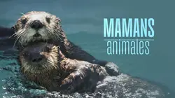 Des mamans modèles Apprendre les règles