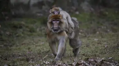 Apprendre les règles