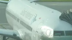 Des marques en péril