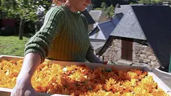 Visuel de Des montagnes et des hommes