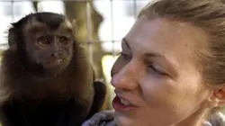 Visuel de Des nounous pour animaux