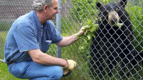 Des nounous pour animaux S02E02