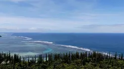 Des oasis dans l'océan