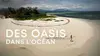2025 • Des oasis dans l'océan