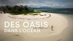 Des oasis dans l'océan