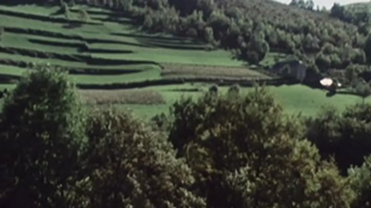 Des paysans E02 Le pain