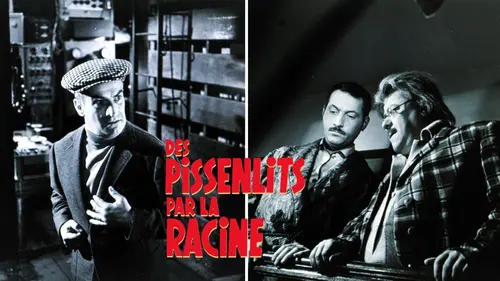 Des pissenlits par la racine en streaming