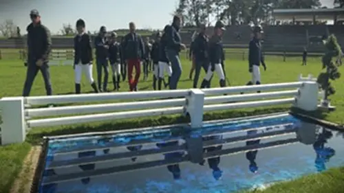 Des poneys en or