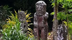 Visuel de Des Pyrénées à la Polynésie