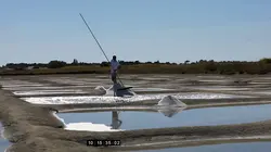 Des racines et des ailes Les passionnés du littoral : du bassin d'Arcachon au nord de la Bretagne