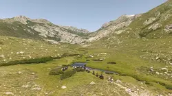 Des racines et des ailes La Corse, terre d'émotions