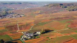 Des racines et des ailes