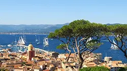 Visuel de Des racines et des ailes