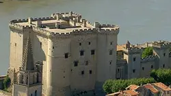 Des racines et des ailes Passion patrimoine : Au fil du Rhône, entre Camargue et coteaux du Lyonnais