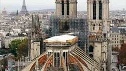 Des racines et des ailes Pour que vive Notre-Dame !