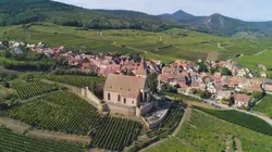 Des racines et des ailes Terroirs d'excellence en Alsace