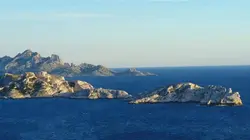 Des racines et des ailes Trésors de Méditerranée