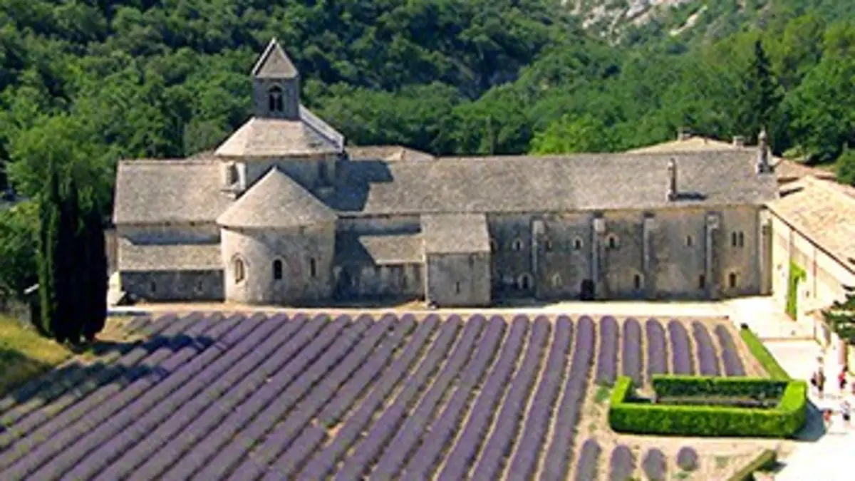 Des racines et des ailes Passion patrimoine : Vaucluse, du Ventoux au Luberon