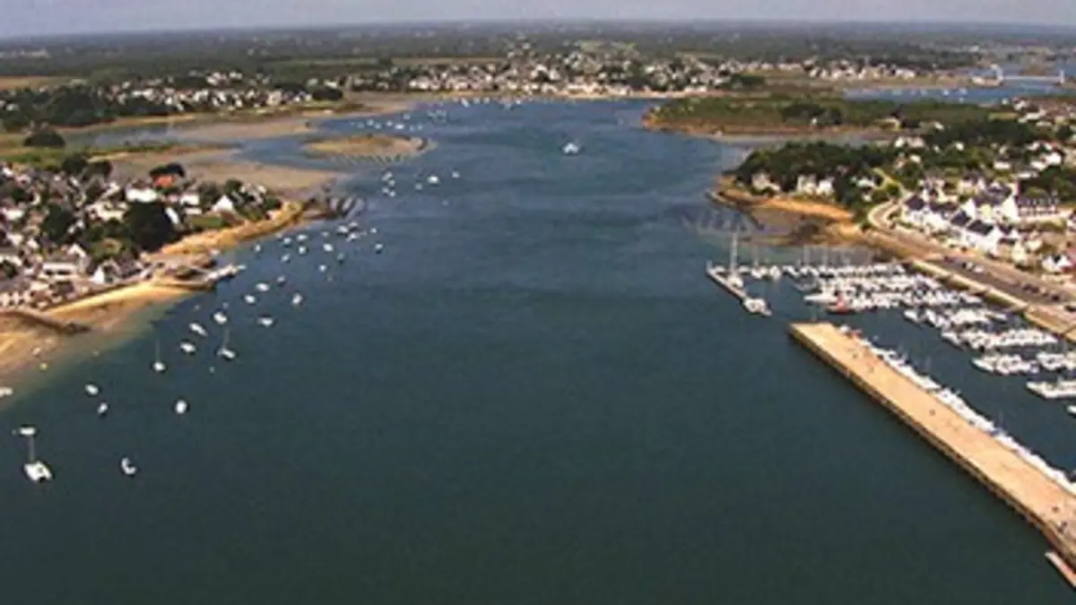 Des racines et des ailes Le goût du Morbihan