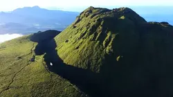 Des racines et des ailes Mon île aux Antilles