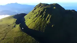 Des racines et des ailes Mon île aux Antilles