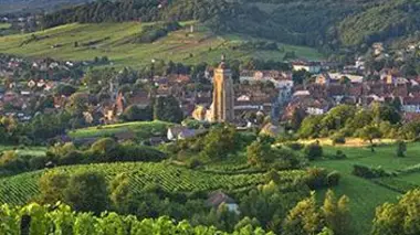 Des racines et des ailes Le goût du Jura