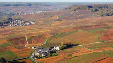 Des racines et des ailes Passion patrimoine : terroirs d'excellence en Champagne