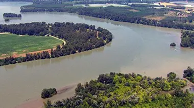 Des racines et des ailes Sur les rives de la Garonne