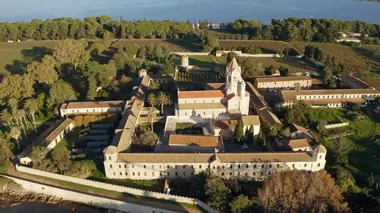 Des racines et des ailes Sur les sentiers du littoral, du Cap d'Antibes aux Calanques