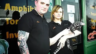Des reptiles dans la ville E01