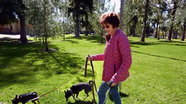 Des Suisses à Los Angeles