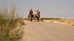 Des trains pas comme les autres