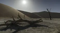 Des trains pas comme les autres Namibie