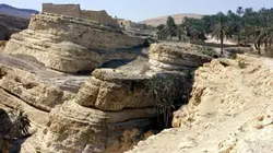 Des trains pas comme les autres E20 Tunisie (1/2)