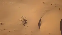 Des trains pas comme les autres Mauritanie