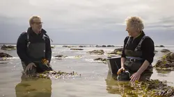 Des trains pas comme les autres Danemark