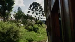 Des trains pas comme les autres Brésil, de l'Amazonie aux plages infinies