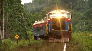 Des trains pas comme les autres Brésil