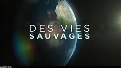 Des vies sauvages E02