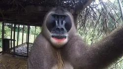 Des vies sauvages E03