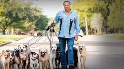 Des vies sauvées Le meilleur ami de l'homme