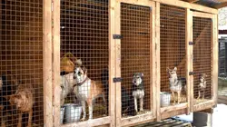 Des vies sauvées Surmonter la difficulté