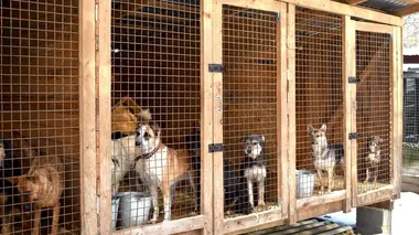 Surmonter la difficulté