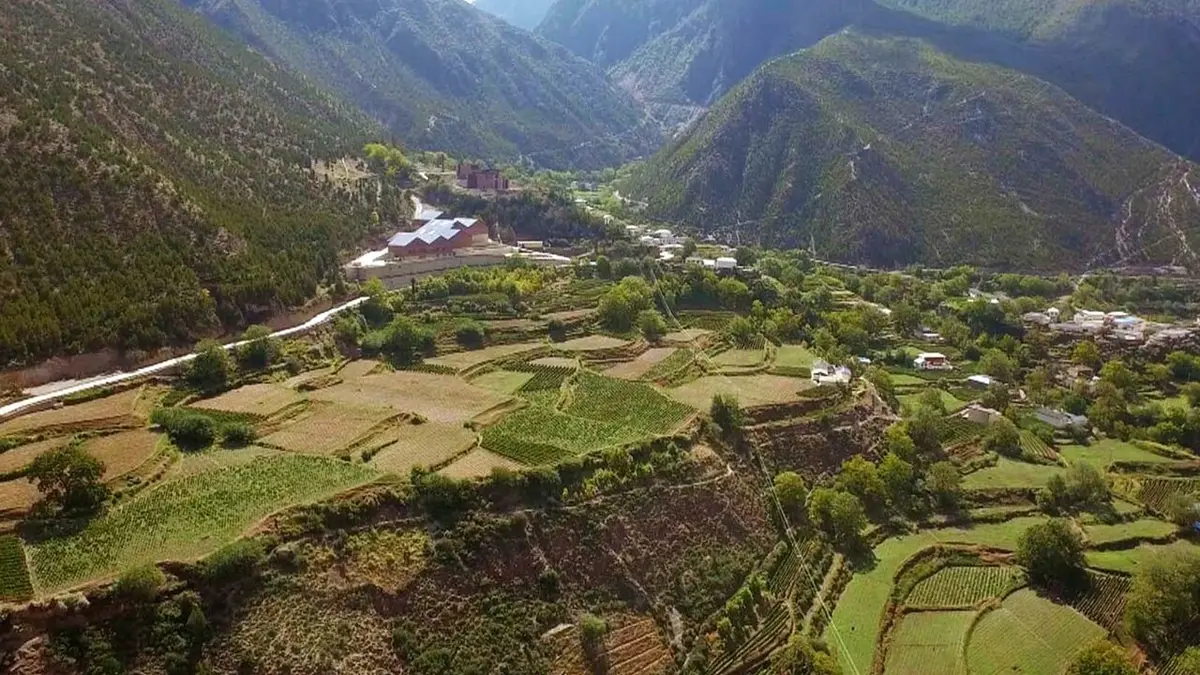 Des vignes et des hommes Chine : les vignobles de l'Himalaya