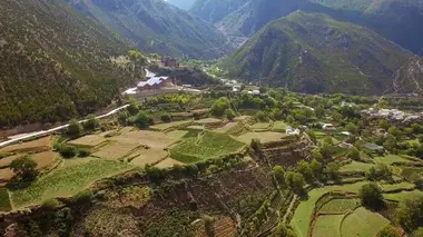 Chine : les vignobles de l'Himalaya